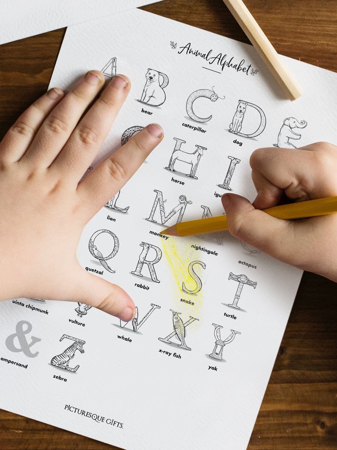 Colorful alphabet letters and children learning